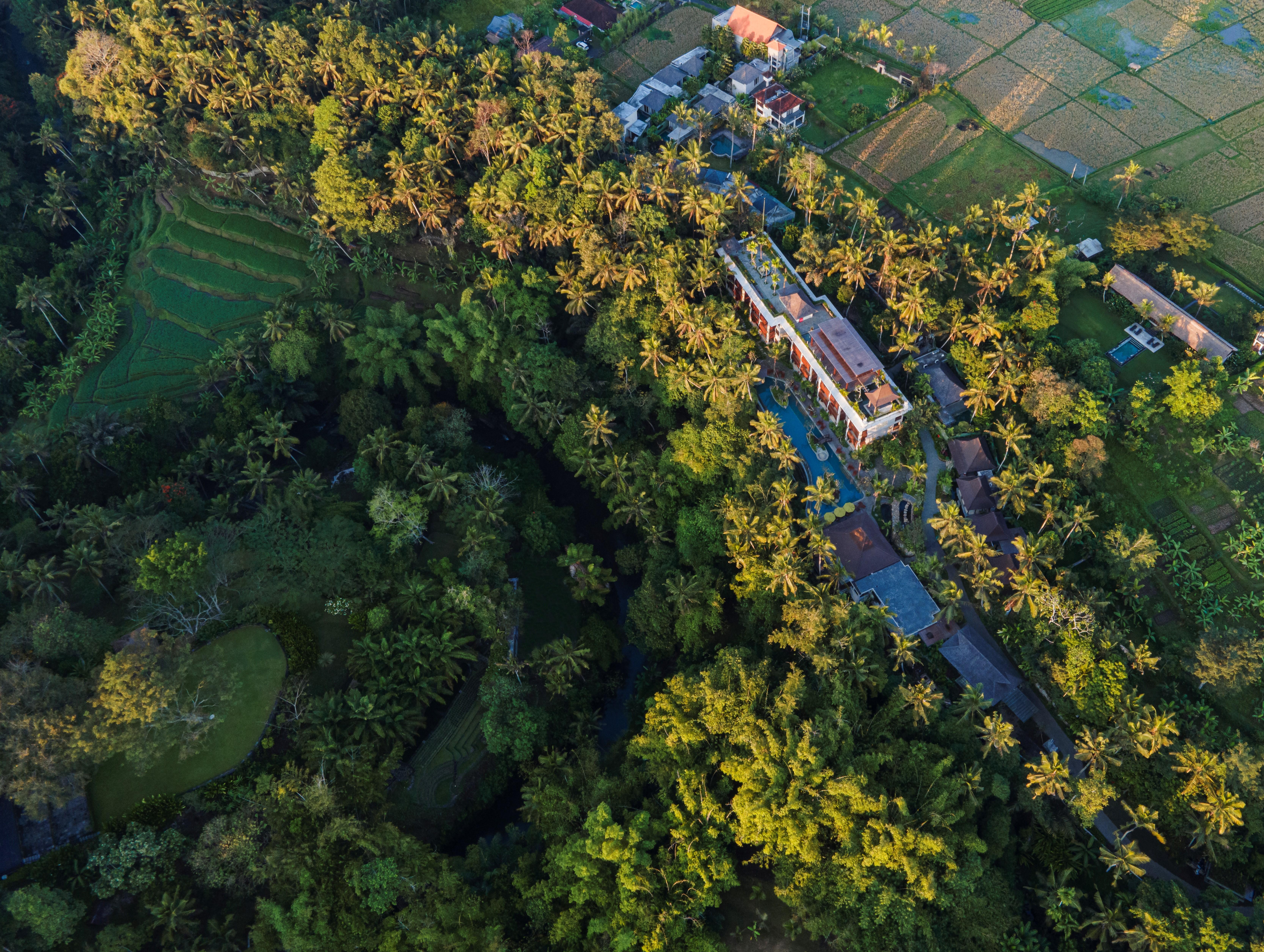 Arkamara Dijiwa Ubud Exterior foto